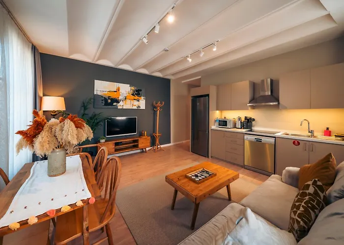 Kuledibi Suites, Historical 2-Bedroom Apartment No-5